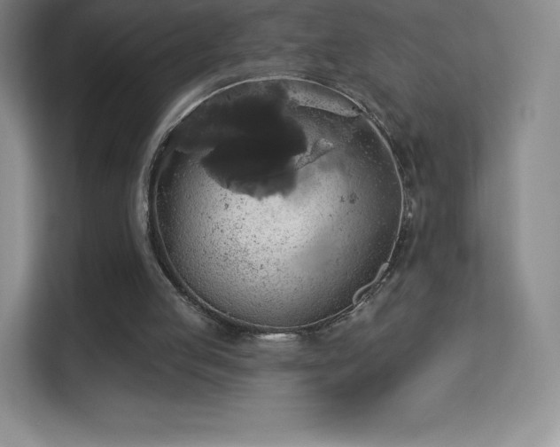 X0000113550053200909251046