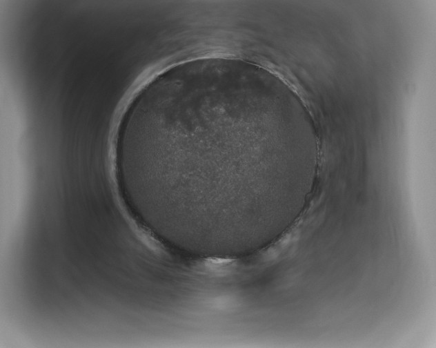 X0000113550055200909251046