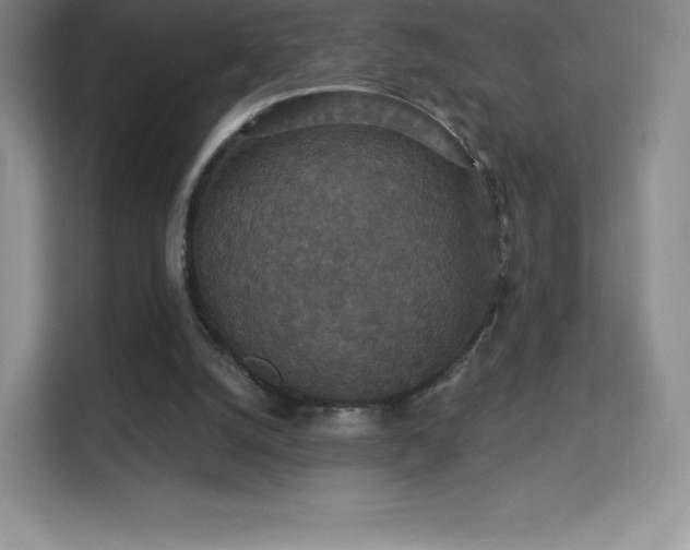 X0000113550056200909251046