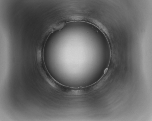 X0000113550057200909251046