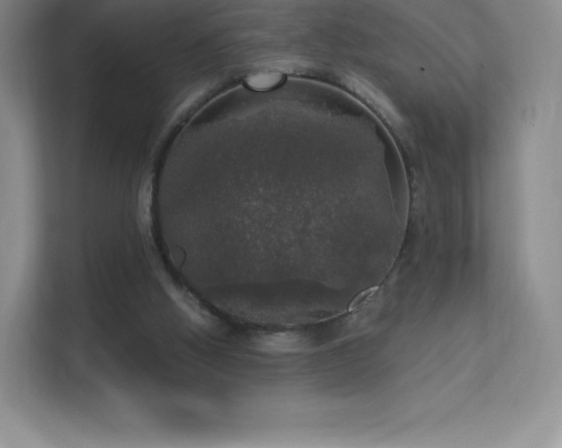 X0000113550058200909251046