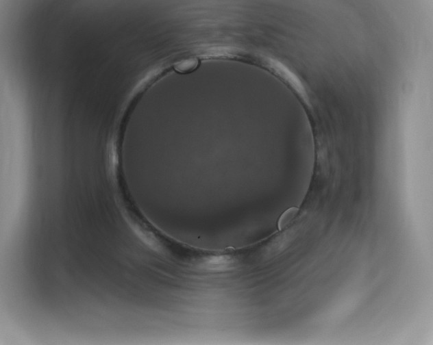 X0000113550059200909251046