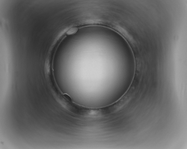 X0000113550060200909251046