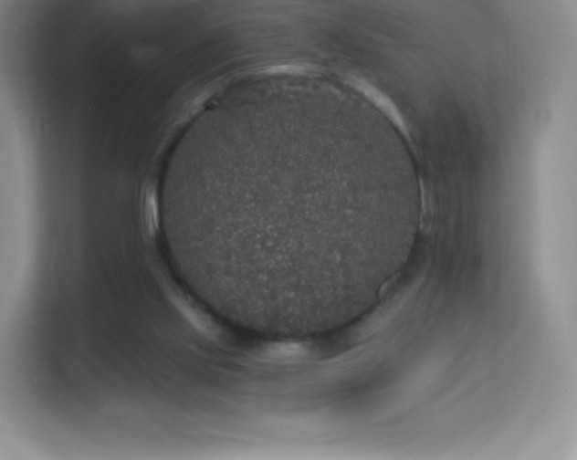 X0000113550061200909251046