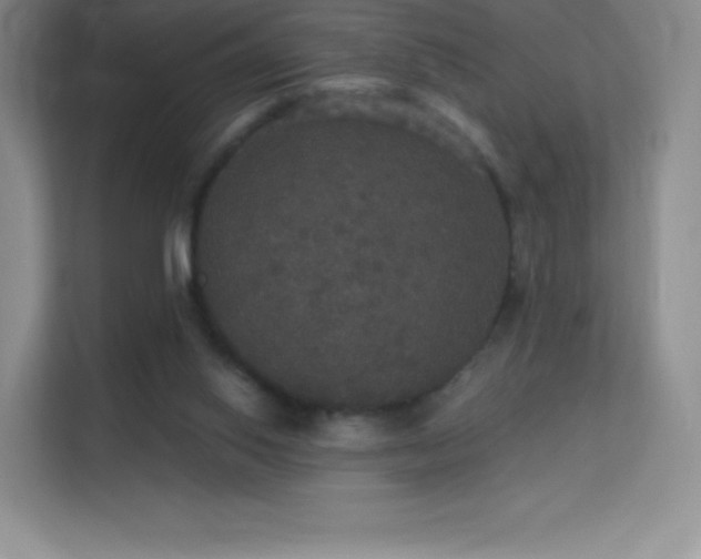 X0000113550062200909251046