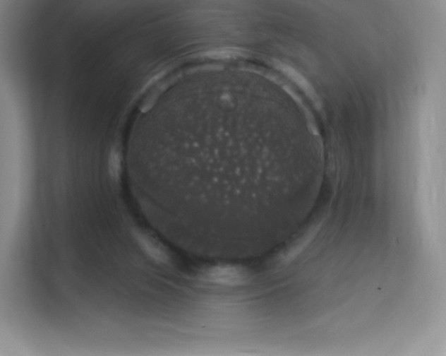 X0000113550063200909251046