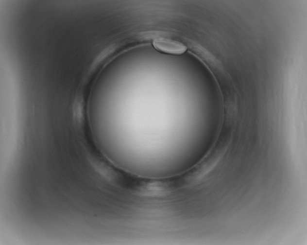 X0000113550064200909251046