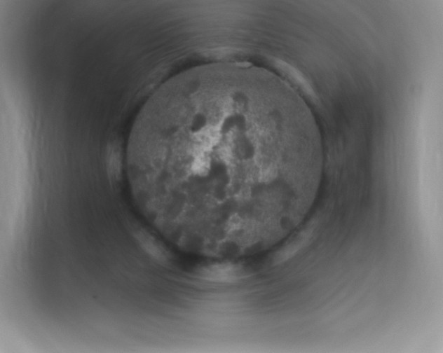 X0000113550065200909251046