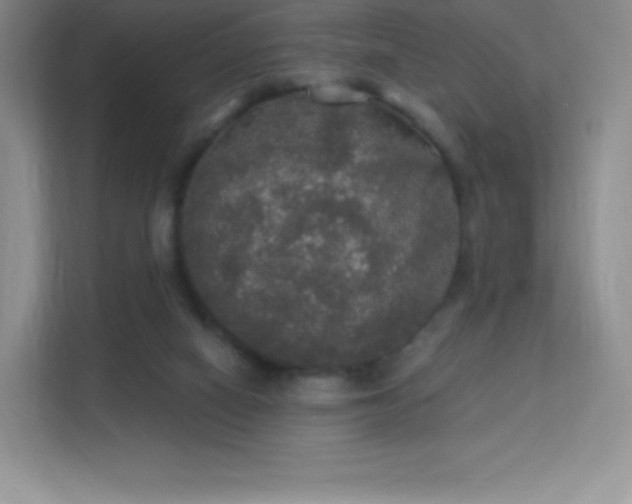 X0000113550066200909251046