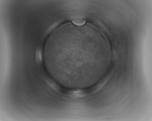 X0000113550068200909251046