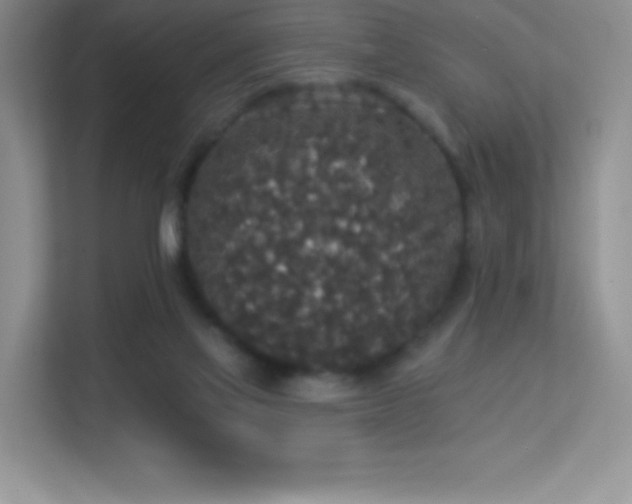 X0000113550069200909251046