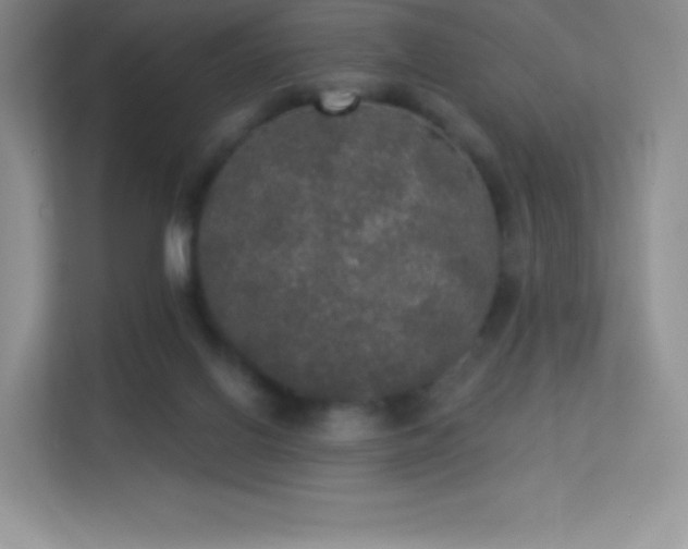 X0000113550070200909251046