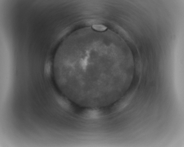 X0000113550071200909251046