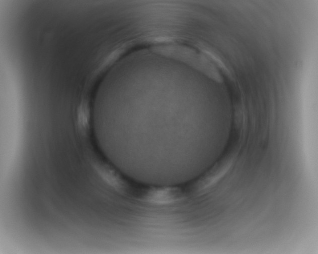 X0000113550072200909251046