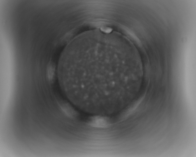 X0000113550073200909251046