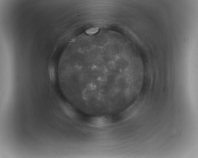 X0000113550074200909251046