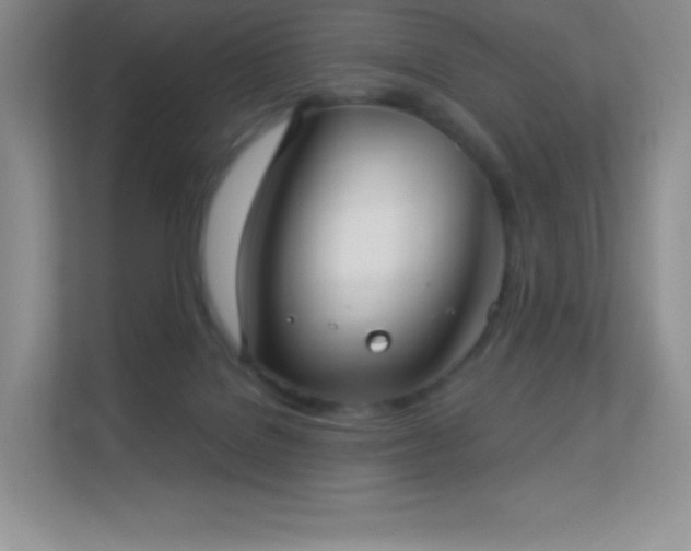 X0000113550076200909251046