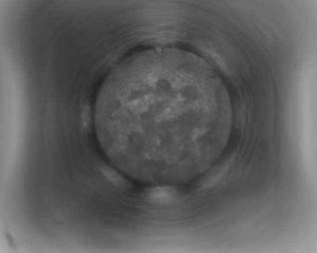 X0000113550077200909251046