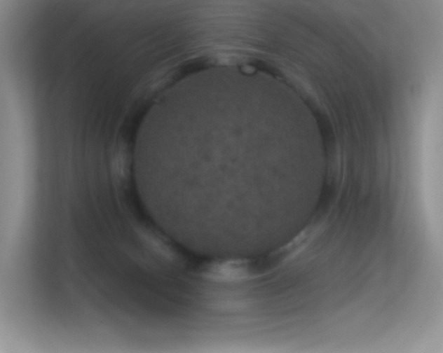 X0000113550078200909251046