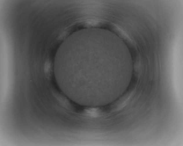 X0000113550079200909251046