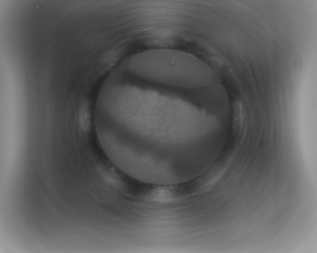 X0000113550080200909251046