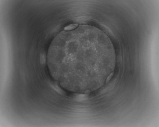 X0000113550081200909251046