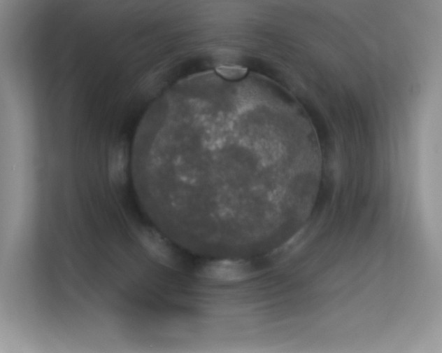 X0000113550082200909251046