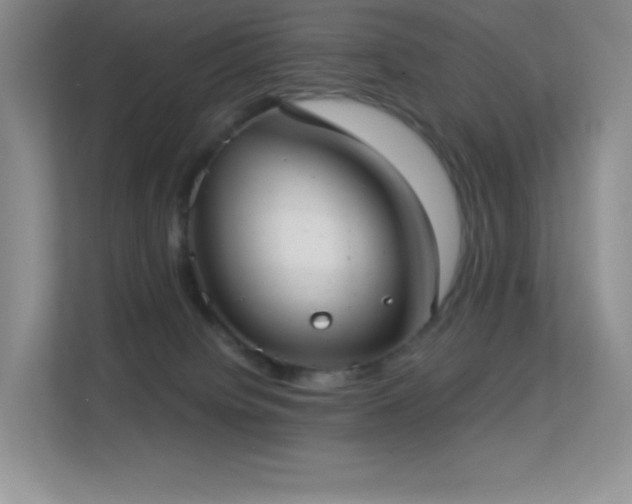 X0000113550084200909251046