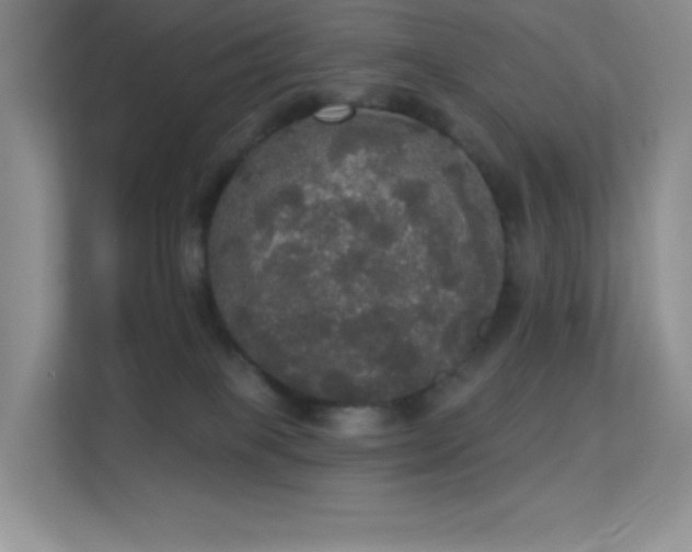 X0000113550085200909251046