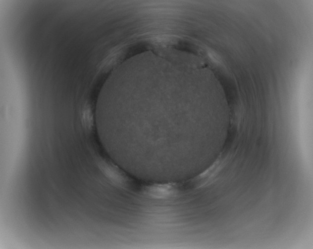 X0000113550086200909251047