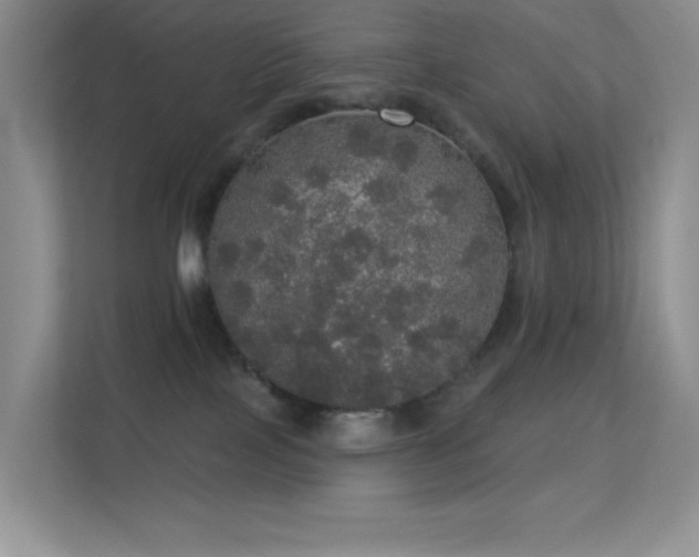 X0000113550089200909251047