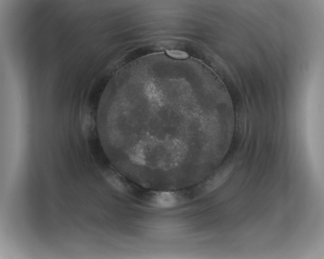 X0000113550091200909251047