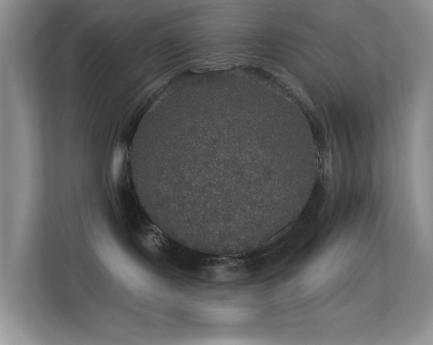 X0000113550095200909251047