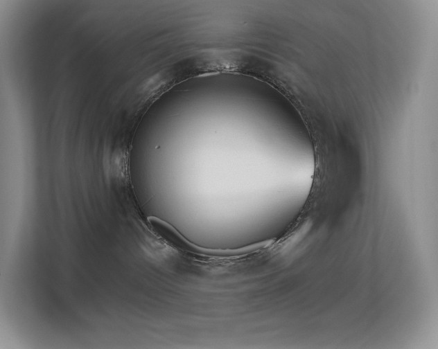 X0000113550096200909251047