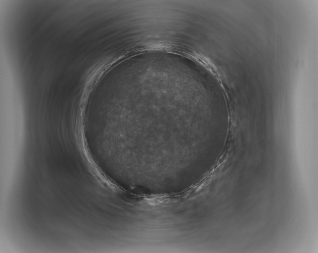 X0000113550097200909251046