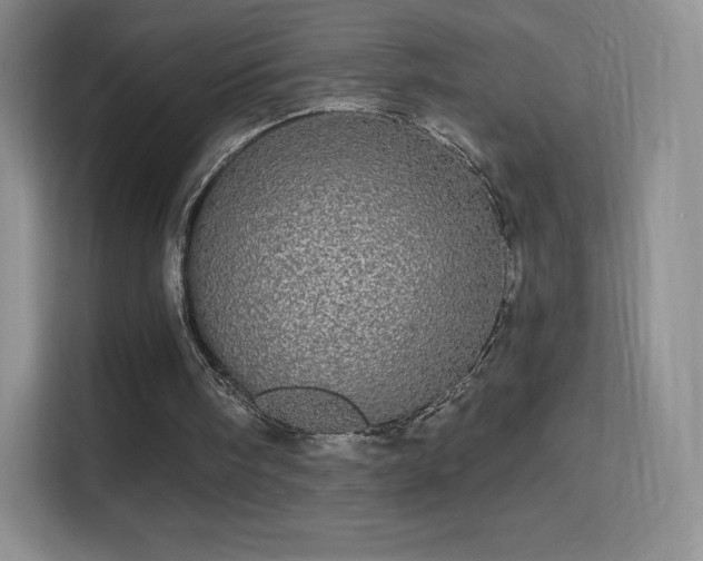 X0000113550098200909251046