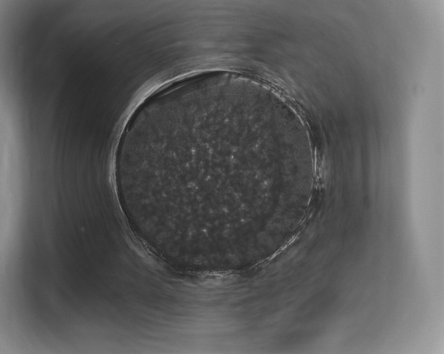 X0000113550099200909251046