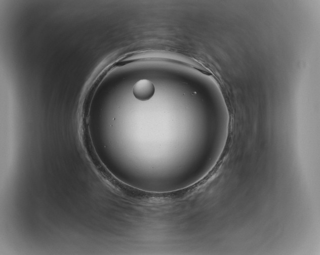 X0000113550101200909251046