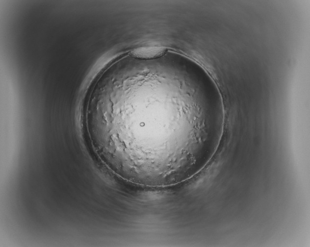 X0000113550103200909251046