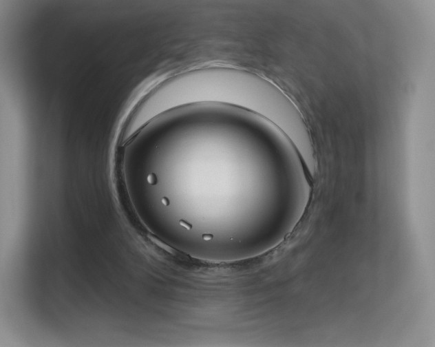 X0000113550104200909251046