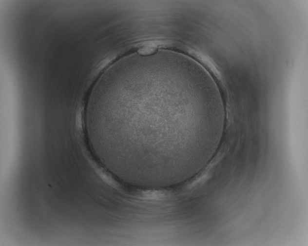 X0000113550105200909251046