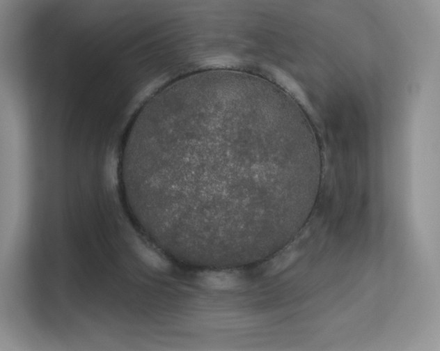 X0000113550106200909251046