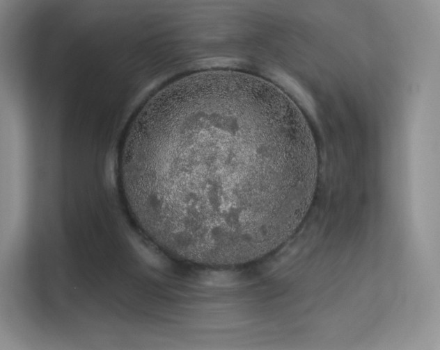 X0000113550107200909251046