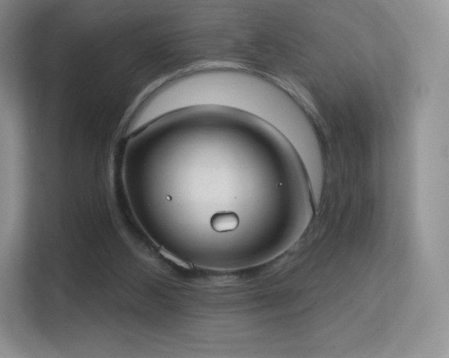 X0000113550108200909251046