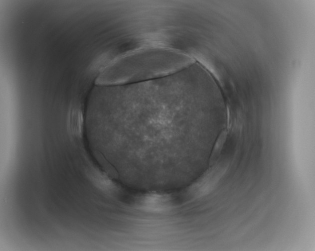 X0000113550109200909251046