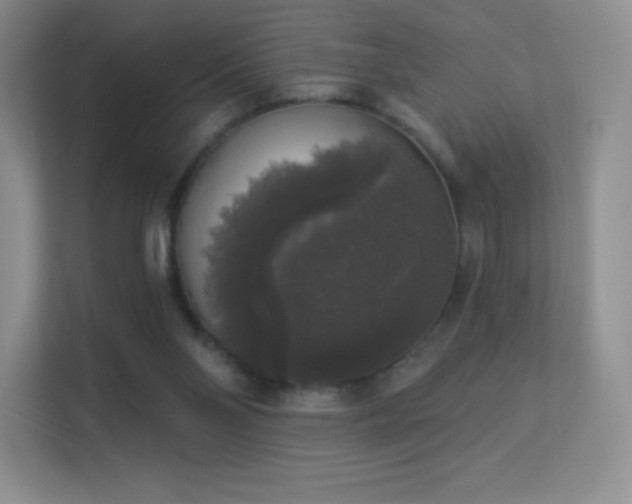 X0000113550110200909251046