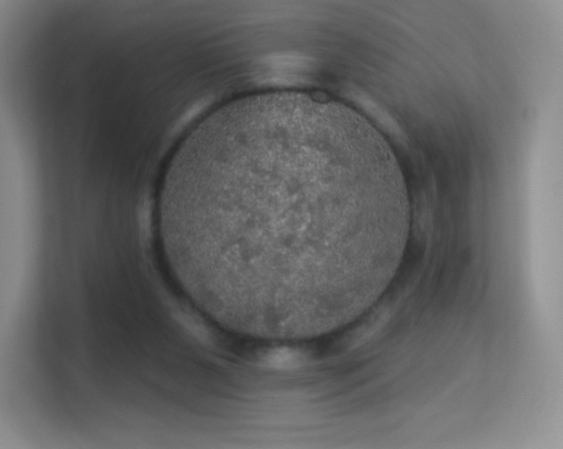 X0000113550111200909251046