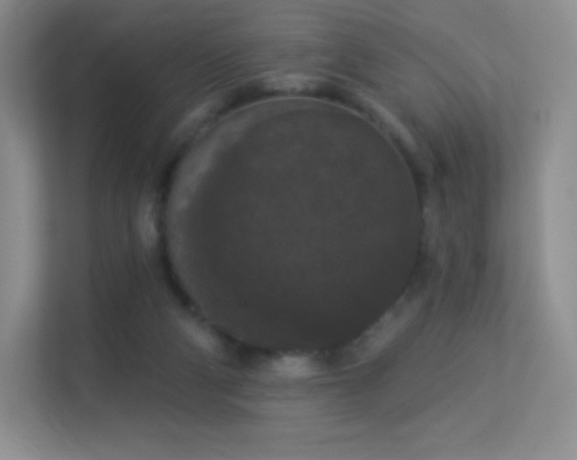 X0000113550114200909251046