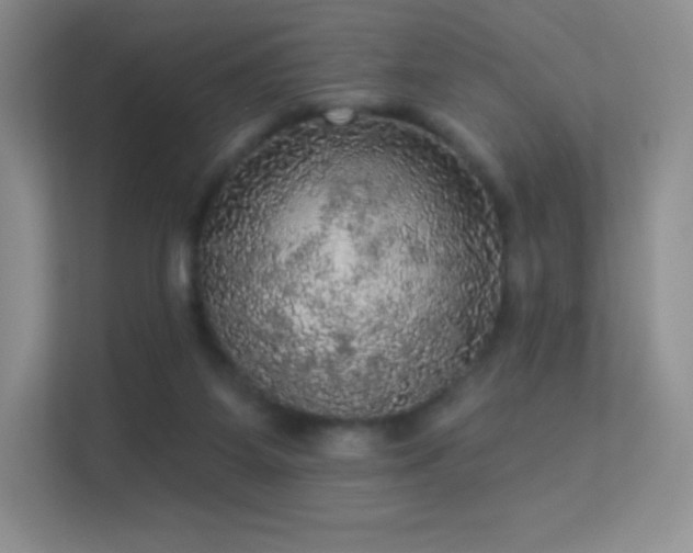 X0000113550115200909251046