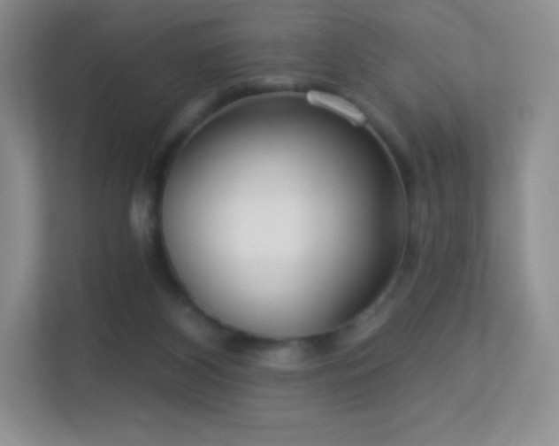 X0000113550116200909251046